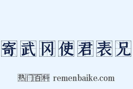 寄武冈使君表兄是什么意思的图片
